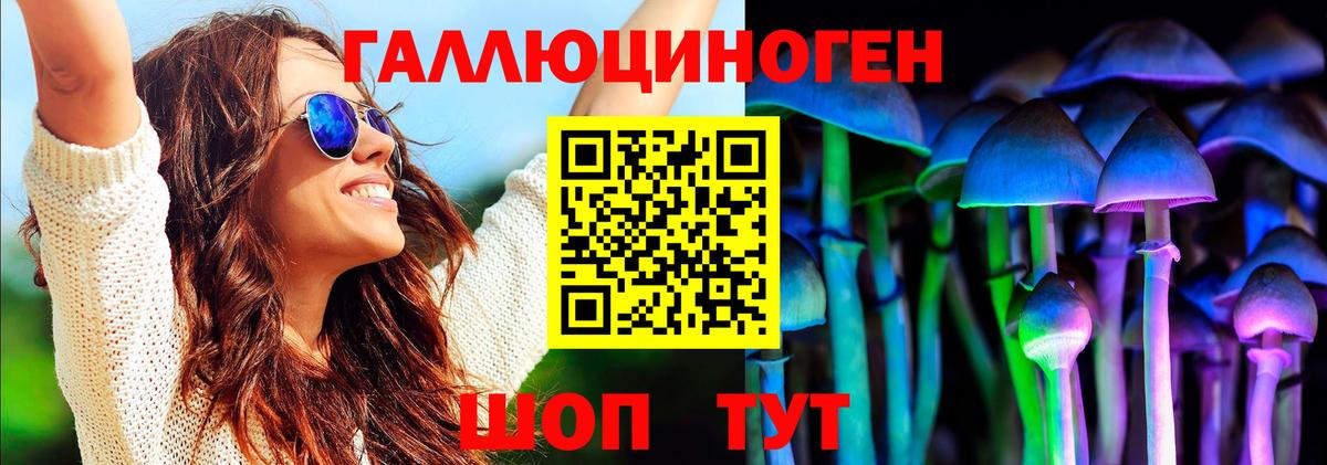 Псилоцибиновые грибы MAGIC MUSHROOMS Балтийск