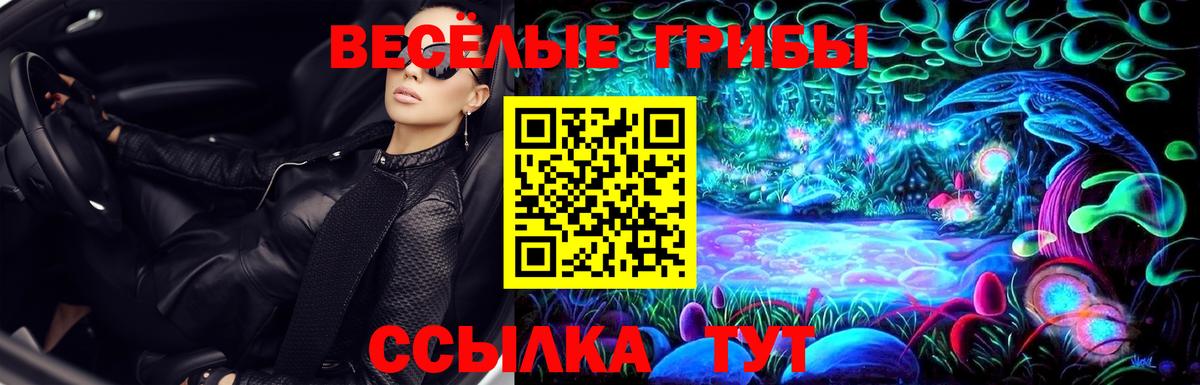 Псилоцибиновые грибы мухоморы  Вход с VPN  Псилоцибиновые грибы MAGIC MUSHROOMS  Балтийск 